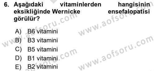 Temel Beslenme İlkeleri Dersi 2024 - 2025 Yılı (Final) Dönem Sonu Sınav Soruları 6. Soru