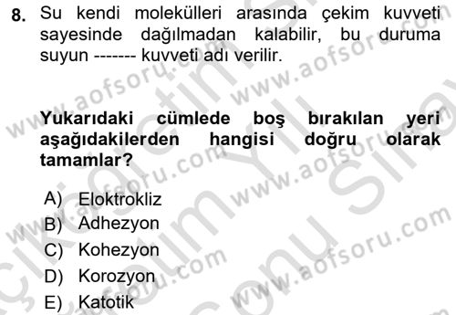 Temel Beslenme İlkeleri Dersi 2024 - 2025 Yılı (Final) Dönem Sonu Sınav Soruları 8. Soru
