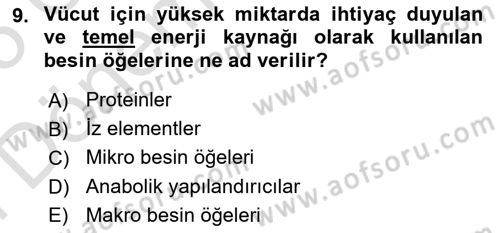 Temel Beslenme İlkeleri Dersi 2024 - 2025 Yılı (Final) Dönem Sonu Sınav Soruları 9. Soru