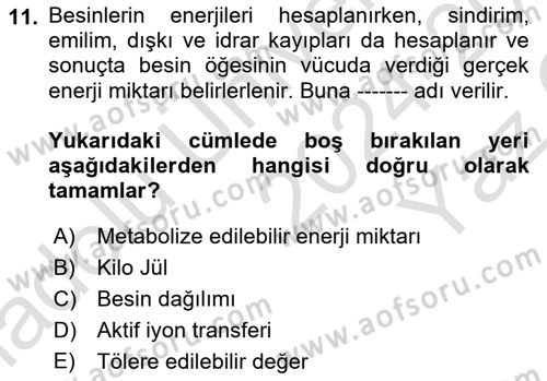 Temel Beslenme İlkeleri Dersi 2024 - 2025 Yılı Yaz Okulu Sınav Soruları 11. Soru