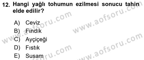 Temel Beslenme İlkeleri Dersi 2024 - 2025 Yılı Yaz Okulu Sınav Soruları 12. Soru
