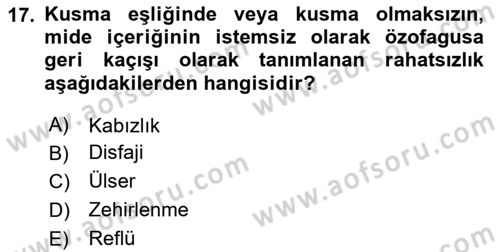 Temel Beslenme İlkeleri Dersi 2024 - 2025 Yılı Yaz Okulu Sınav Soruları 17. Soru