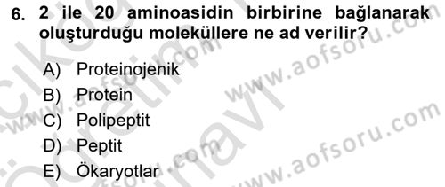 Temel Beslenme İlkeleri Dersi 2024 - 2025 Yılı Yaz Okulu Sınav Soruları 6. Soru