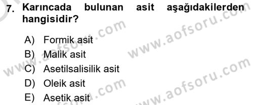 Temel Beslenme İlkeleri Dersi 2024 - 2025 Yılı Yaz Okulu Sınav Soruları 7. Soru