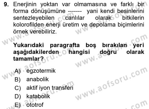 Temel Beslenme İlkeleri Dersi 2024 - 2025 Yılı Yaz Okulu Sınav Soruları 9. Soru