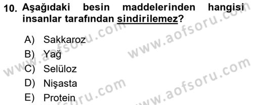 Temel Beslenme İlkeleri Dersi 2025 - 2026 Yılı (Final) Dönem Sonu Sınav Soruları 10. Soru