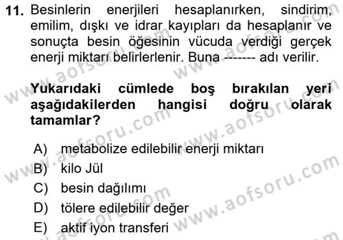 Temel Beslenme İlkeleri Dersi 2025 - 2026 Yılı (Final) Dönem Sonu Sınav Soruları 11. Soru