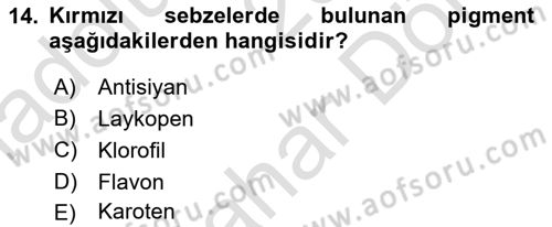 Temel Beslenme İlkeleri Dersi 2025 - 2026 Yılı (Final) Dönem Sonu Sınav Soruları 14. Soru
