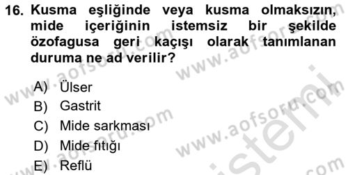 Temel Beslenme İlkeleri Dersi 2025 - 2026 Yılı (Final) Dönem Sonu Sınav Soruları 16. Soru