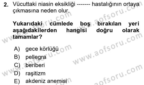 Temel Beslenme İlkeleri Dersi 2025 - 2026 Yılı (Final) Dönem Sonu Sınav Soruları 2. Soru