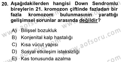 Temel Beslenme İlkeleri Dersi 2025 - 2026 Yılı (Final) Dönem Sonu Sınav Soruları 20. Soru