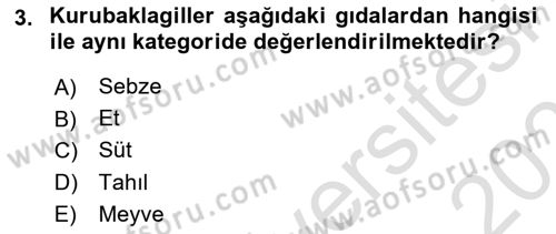 Temel Beslenme İlkeleri Dersi 2025 - 2026 Yılı (Final) Dönem Sonu Sınav Soruları 3. Soru