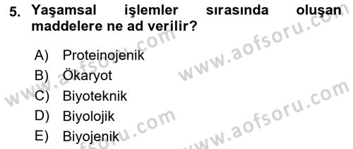 Temel Beslenme İlkeleri Dersi 2025 - 2026 Yılı (Final) Dönem Sonu Sınav Soruları 5. Soru