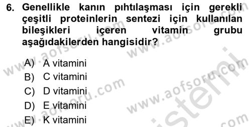 Temel Beslenme İlkeleri Dersi 2025 - 2026 Yılı (Final) Dönem Sonu Sınav Soruları 6. Soru