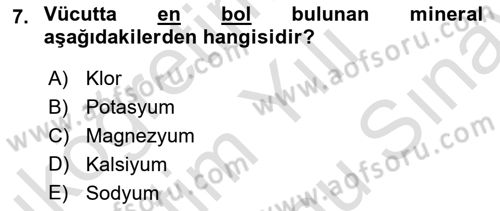 Temel Beslenme İlkeleri Dersi 2025 - 2026 Yılı (Final) Dönem Sonu Sınav Soruları 7. Soru