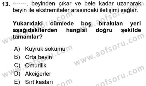 Temel Bakım ve Rehabilitasyon 2 Dersi 2018 - 2019 Yılı 3 Ders Sınav Soruları 13. Soru