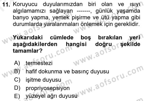 Temel Bakım ve Rehabilitasyon 2 Dersi Ara Sınavı Deneme Sınav Soruları 11. Soru