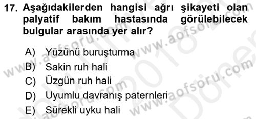 Temel Bakım ve Rehabilitasyon 2 Dersi Ara Sınavı Deneme Sınav Soruları 17. Soru