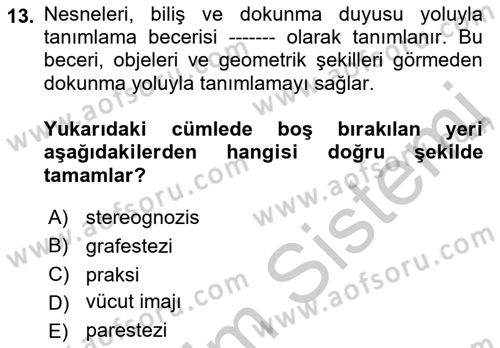 Temel Bakım ve Rehabilitasyon 2 Dersi 2018 - 2019 Yılı Yaz Okulu Sınav Soruları 13. Soru