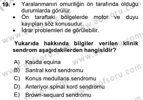 Temel Bakım ve Rehabilitasyon 2 Dersi 2018 - 2019 Yılı Yaz Okulu Sınav Soruları 19. Soru