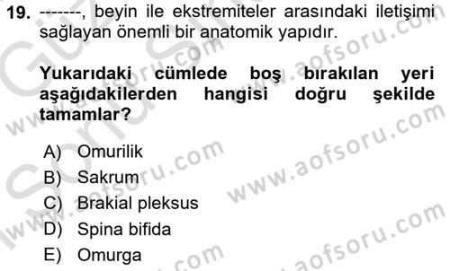 Temel Bakım ve Rehabilitasyon 2 Dersi 2019 - 2020 Yılı (Final) Dönem Sonu Sınav Soruları 19. Soru