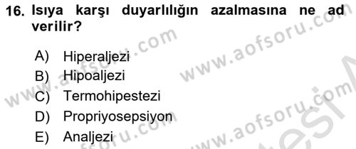 Temel Bakım ve Rehabilitasyon 2 Dersi 2020 - 2021 Yılı Yaz Okulu Sınav Soruları 16. Soru
