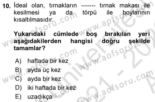 Temel Bakım ve Rehabilitasyon 2 Dersi Ara Sınavı Deneme Sınav Soruları 10. Soru