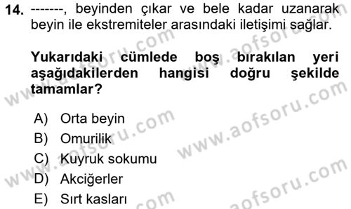 Temel Bakım ve Rehabilitasyon 2 Dersi 2021 - 2022 Yılı (Final) Dönem Sonu Sınav Soruları 14. Soru