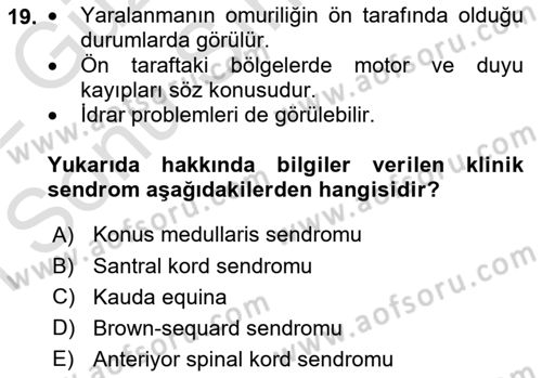 Temel Bakım ve Rehabilitasyon 2 Dersi 2021 - 2022 Yılı (Final) Dönem Sonu Sınav Soruları 19. Soru