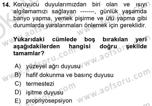 Temel Bakım ve Rehabilitasyon 2 Dersi 2021 - 2022 Yılı Yaz Okulu Sınav Soruları 14. Soru