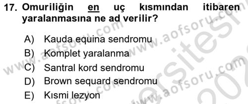 Temel Bakım ve Rehabilitasyon 2 Dersi 2021 - 2022 Yılı Yaz Okulu Sınav Soruları 17. Soru