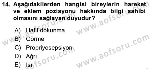 Temel Bakım ve Rehabilitasyon 2 Dersi 2023 - 2024 Yılı Yaz Okulu Sınav Soruları 14. Soru