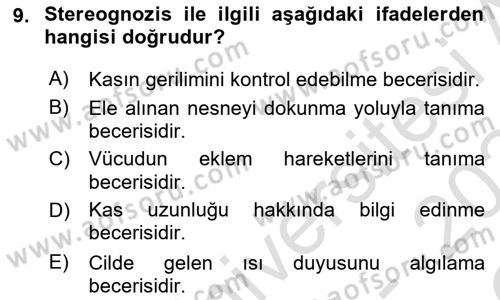 Temel Bakım ve Rehabilitasyon 2 Dersi 2023 - 2024 Yılı Yaz Okulu Sınav Soruları 9. Soru