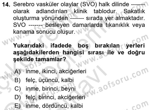 Temel Bakım ve Rehabilitasyon 2 Dersi 2024 - 2025 Yılı (Final) Dönem Sonu Sınav Soruları 14. Soru