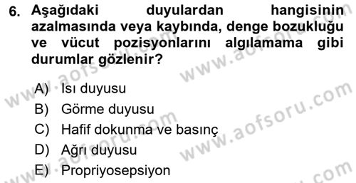 Temel Bakım ve Rehabilitasyon 2 Dersi 2024 - 2025 Yılı (Final) Dönem Sonu Sınav Soruları 6. Soru