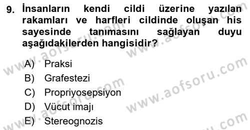 Temel Bakım ve Rehabilitasyon 2 Dersi 2024 - 2025 Yılı (Final) Dönem Sonu Sınav Soruları 9. Soru