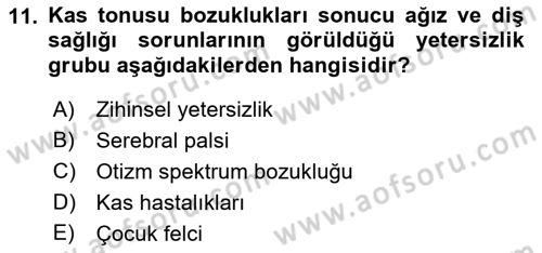 Çoklu Engellilerin Bakım ve Rehabilitasyonu Dersi Ara Sınavı Deneme Sınav Soruları 11. Soru
