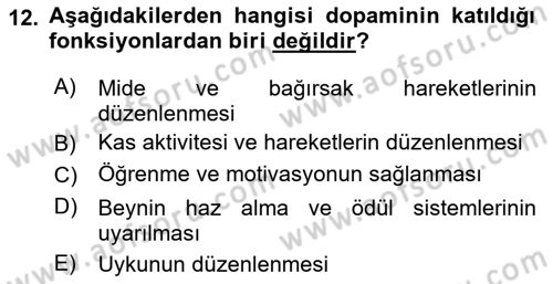 Yaşlılıkta Nörolojik Temelli Durumların Bakım ve Rehabilitasyonu Dersi 2018 - 2019 Yılı (Vize) Ara Sınav Soruları 12. Soru