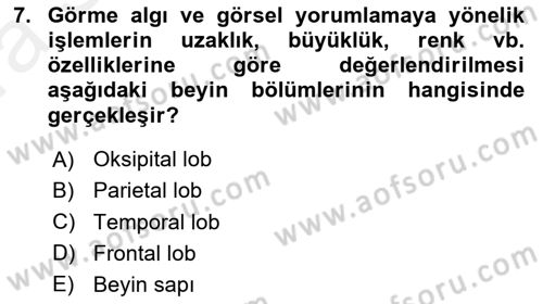 Yaşlılıkta Nörolojik Temelli Durumların Bakım ve Rehabilitasyonu Dersi 2018 - 2019 Yılı (Vize) Ara Sınav Soruları 7. Soru