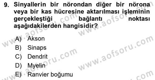 Yaşlılıkta Nörolojik Temelli Durumların Bakım ve Rehabilitasyonu Dersi 2018 - 2019 Yılı (Vize) Ara Sınavı 9. Soru