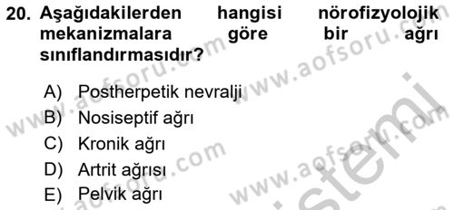 Yaşlılıkta Nörolojik Temelli Durumların Bakım ve Rehabilitasyonu Dersi 2018 - 2019 Yılı Yaz Okulu Sınav Soruları 20. Soru