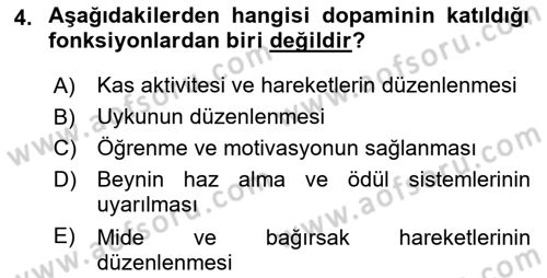 Yaşlılıkta Nörolojik Temelli Durumların Bakım ve Rehabilitasyonu Dersi 2018 - 2019 Yılı Yaz Okulu Sınav Soruları 4. Soru