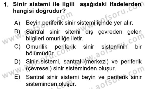 Yaşlılıkta Nörolojik Temelli Durumların Bakım ve Rehabilitasyonu Dersi 2019 - 2020 Yılı (Final) Dönem Sonu Sınavı 1. Soru