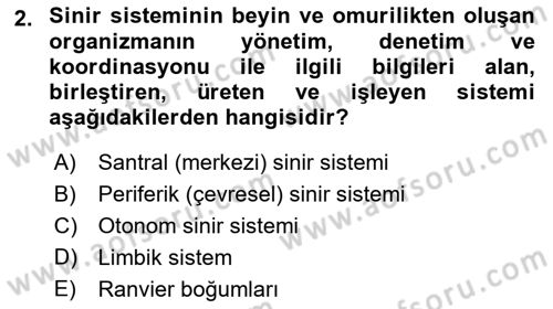 Yaşlılıkta Nörolojik Temelli Durumların Bakım ve Rehabilitasyonu Dersi 2020 - 2021 Yılı Yaz Okulu Sınav Soruları 2. Soru