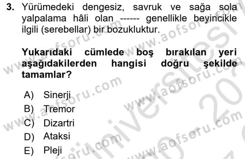 Yaşlılıkta Nörolojik Temelli Durumların Bakım ve Rehabilitasyonu Dersi 2020 - 2021 Yılı Yaz Okulu Sınav Soruları 3. Soru