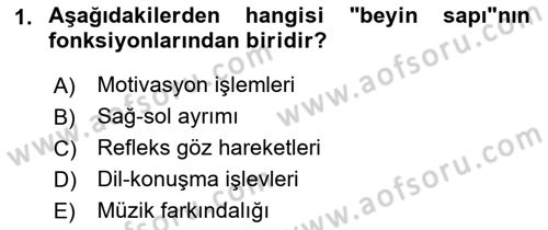 Yaşlılıkta Nörolojik Temelli Durumların Bakım ve Rehabilitasyonu Dersi 2021 - 2022 Yılı (Vize) Ara Sınav Soruları 1. Soru