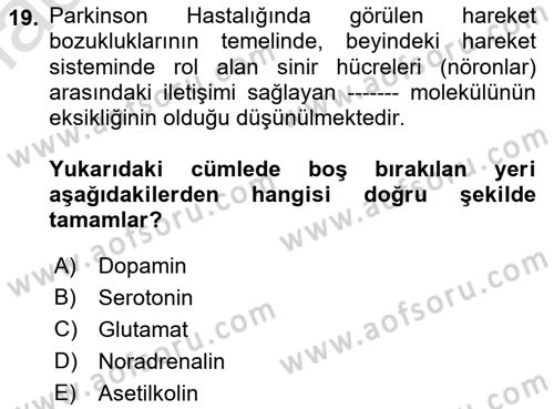 Yaşlılıkta Nörolojik Temelli Durumların Bakım ve Rehabilitasyonu Dersi 2021 - 2022 Yılı (Vize) Ara Sınav Soruları 19. Soru