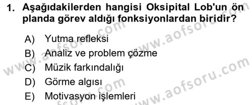 Yaşlılıkta Nörolojik Temelli Durumların Bakım ve Rehabilitasyonu Dersi 2021 - 2022 Yılı (Final) Dönem Sonu Sınav Soruları 1. Soru