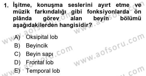 Yaşlılıkta Nörolojik Temelli Durumların Bakım ve Rehabilitasyonu Dersi 2021 - 2022 Yılı Yaz Okulu Sınav Soruları 1. Soru