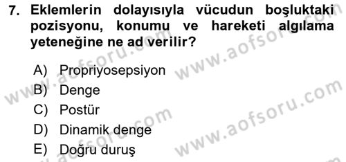 Yaşlılıkta Nörolojik Temelli Durumların Bakım ve Rehabilitasyonu Dersi 2022 - 2023 Yılı (Final) Dönem Sonu Sınav Soruları 7. Soru
